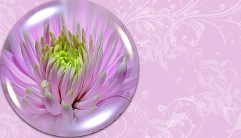 Energie update Witte Spiegel levenspad 7-19 november 2019: Ontmoet je ware Zelf